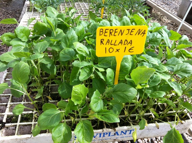 Semilleros Serviplant